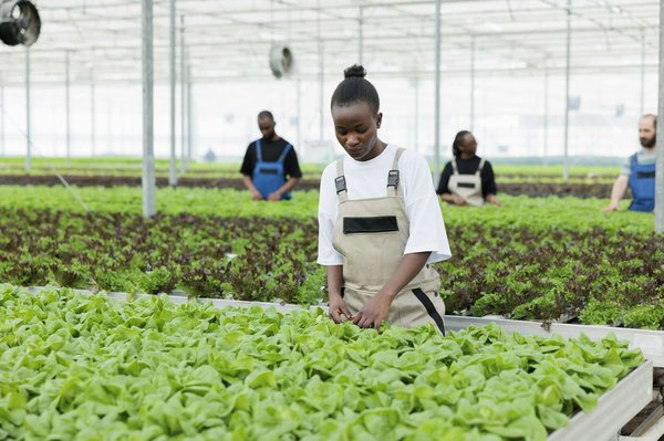 Quelle est la méthode pour des madeleines à la fleur d'oranger et zestes de citron ?